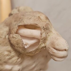 VRARE Vtg connected rabbits with Oryctolagus cuniculus - showing bone